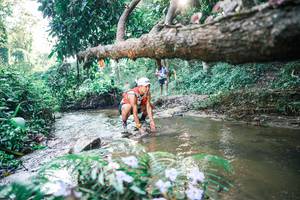 BIB: 
                            <button type="button" onclick="openModal(25432781)" class="btn btn-primary btn-sm float-right btn-popup" data-toggle="modal" data-target=".modal-high-quality">
                        <i class="fas fa-shopping-cart"></i> Add to Cart
                    </button>
                                            <button type="button" onclick="isThisMe(25432781, true)" class="btn btn-success btn-sm float-right btn-popup btn-isme hidden" data-toggle="tooltip" data-placement="bottom" title="นี่คือรูปของคุณใช่ไหม คลิกที่นี่เพื่อเอาเข้าอัลบั้ม">
                        <i class="fas fa-plus"></i> Add to album
                    </button>
                    <button type="button" onclick="isThisMe(25432781, false)" class="btn btn-warning btn-sm float-right btn-popup btn-isnotme hidden">
                        <i class="fas fa-ban"></i> Remove from album
                    </button>